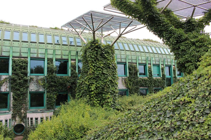 Сад на крыше Варшавской библиотеки